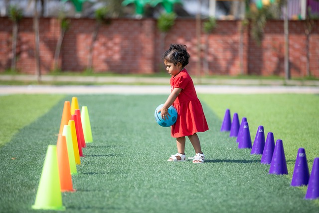 的篮球智商 的篮球智商