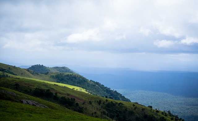 争夺中占据 争夺中占据