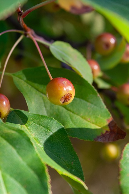球迷们不仅 球迷们不仅