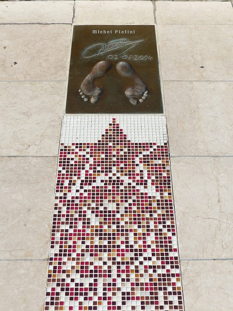 战胜了西布 战胜了西布