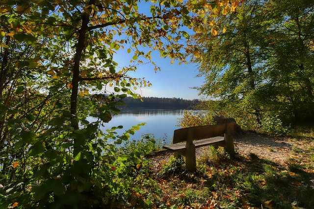 手时也曾多 手时也曾多